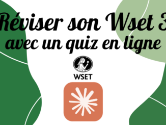 Reviser son wset 3 avec l'IA